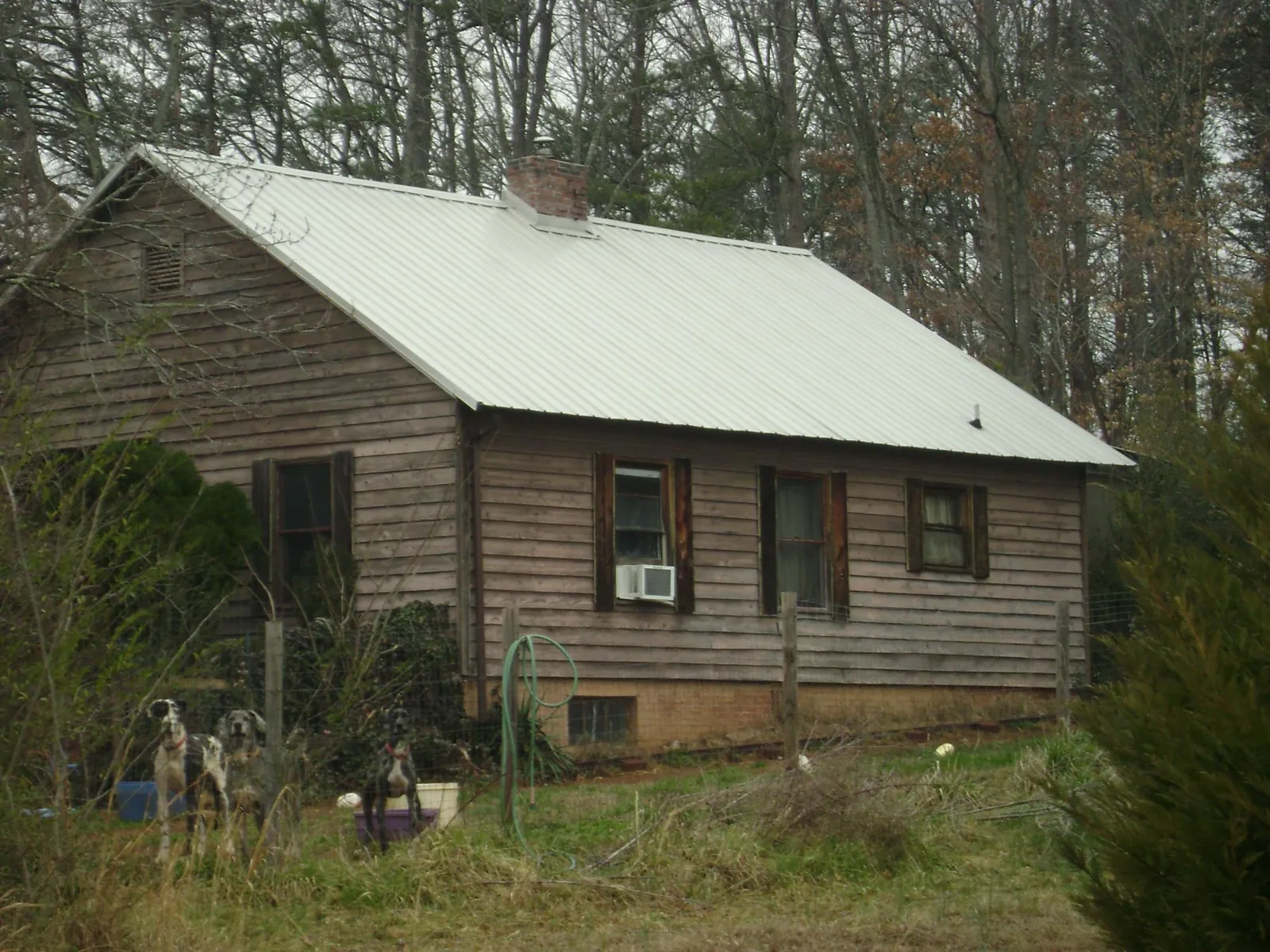 White metal roof on an old wood sided farmhouse, from a Metal Roof Installation job in Pine Bluffs